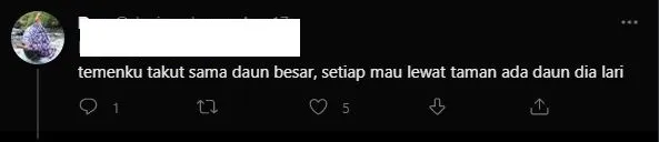 10 Fobia Paling Absurd yang Diungkap Warganet. Agak Mustahil, tapi Ada~ 14 Fobia Daun Besar