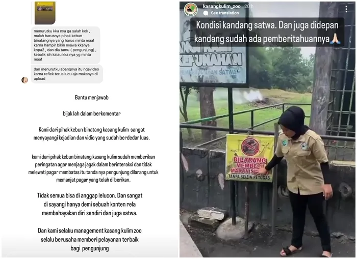 Video Pria Ditarik Orang Utan Viral, Sengaja Bahayakan Nyawa Sendiri Demi Konten 2 Klarifikasi Kebun Binatang Kasang Kulim
