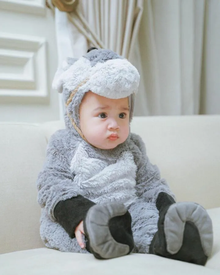 12 Potret Rayyanza Saat Pakai Kostum Lucu. OOTD-nya Selalu Bikin Gemas! 20