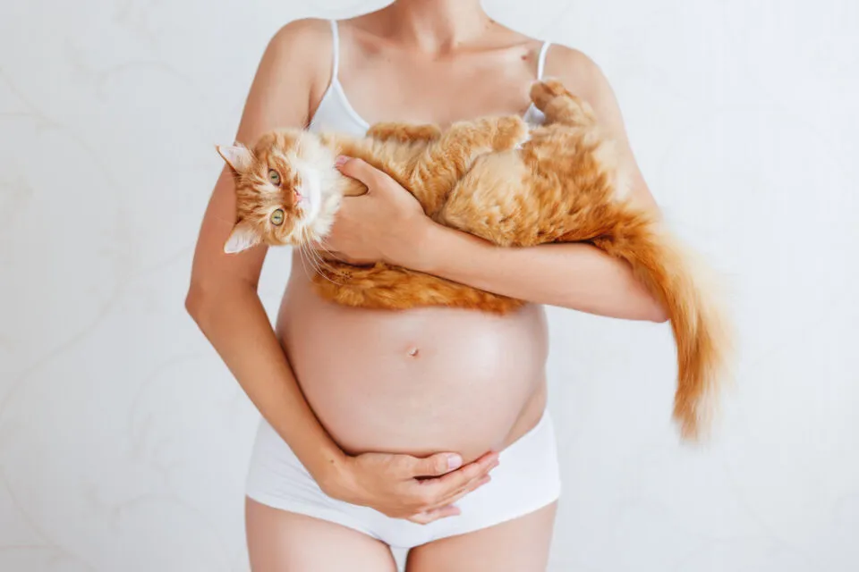 6 Penyakit yang Ditularkan Kucing ke Manusia, Cat Lovers Harus Waspada nih! 8 penyakit kucing yang menular ke manusia