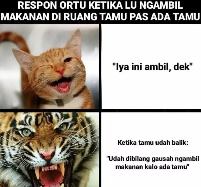 9 Meme Kocak saat Kedatangan Tamu Paling Relate. Mau Heran, tapi Namanya Juga Bertamu~ 18 Meme kedatangan tamu