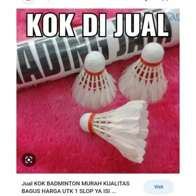 10 Meme Kocak ini Bikin Kesel karena Diartikan Secara Harafiah. Nggak Bener, tapi Nggak Salah Juga 17 Kok?