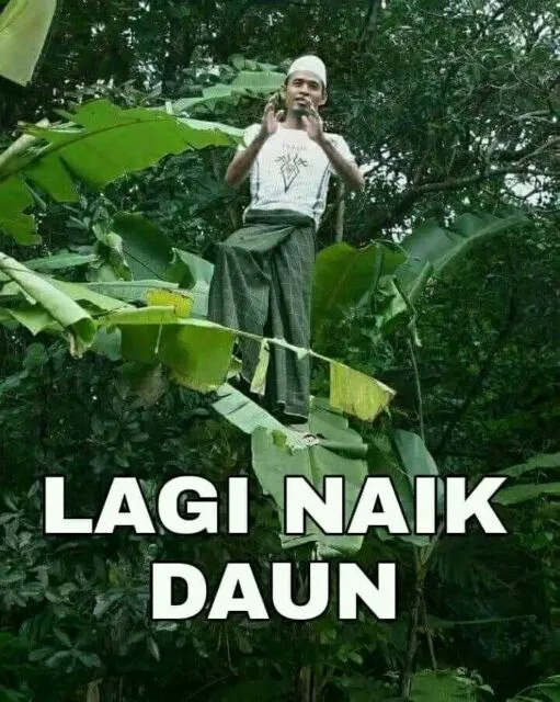 10 Meme Kocak ini Bikin Kesel karena Diartikan Secara Harafiah. Nggak Bener, tapi Nggak Salah Juga 11 Naik daun