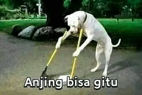 10 Meme Kocak ini Bikin Kesel karena Diartikan Secara Harafiah. Nggak Bener, tapi Nggak Salah Juga 12 Terkejut