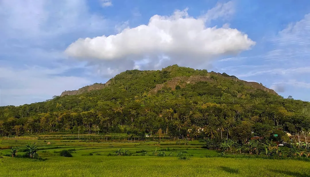 10 Gunung di Pulau Jawa yang Cocok untuk Pendaki Pemula 12 Gunung Nglanggeran