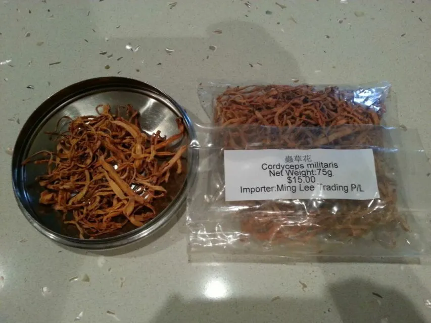 Fakta Menarik Jamur Cordyceps di serial 'The Last of Us'. Ternyata Ada di Dunia Nyata! 6 Manfaat Cordyceps militaris