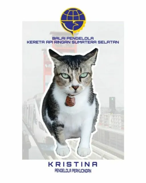Meski Cuma Bisa Bilang Kristina