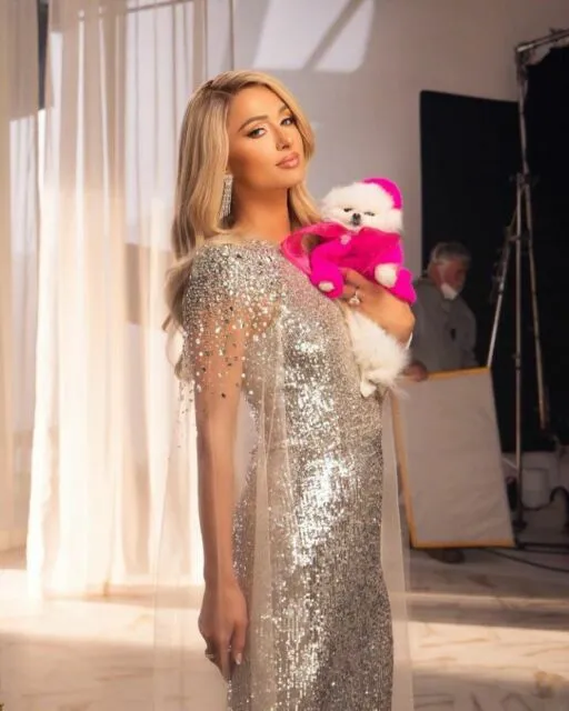 Sambut Anak Pertama, Paris Hilton Dikaruniai Bayi Laki-laki Melalui Ibu Pengganti 5