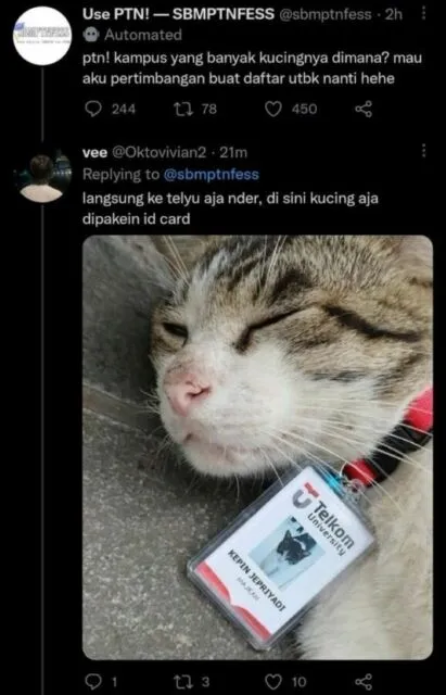 Meski Cuma Bisa Bilang Kepin Jepriyadi
