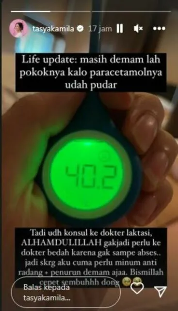 Tasya Kamila Alami Mastitis Saat Menyusui Anak Keduanya, Bersyukur Tak Sampai Operasi 4
