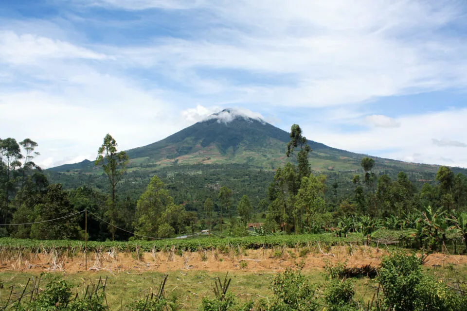 10 Gunung di Pulau Jawa yang Cocok untuk Pendaki Pemula 20 Gunung Cikuray