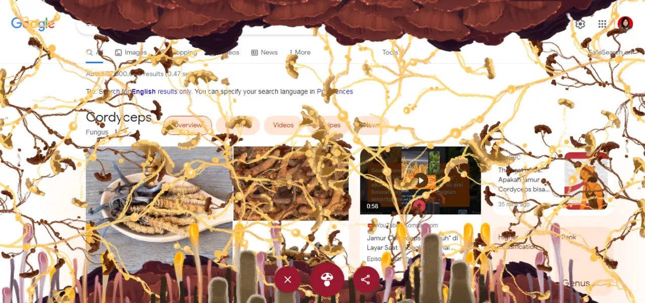 Gara-gara The Last of Us, Jamur Cordyceps Ikut Menginfeksi Google~ 3 Jamur Cordyceps di Google