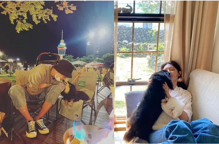 Anjing Jung Kyung Ho dan SNSD Sooyoung Cameo di Drama Crash Course Romance, Aksi Bucin Terdeteksi 3 Jung Kyung-ho dan Choi Soo-young di drama Crash Course Romance