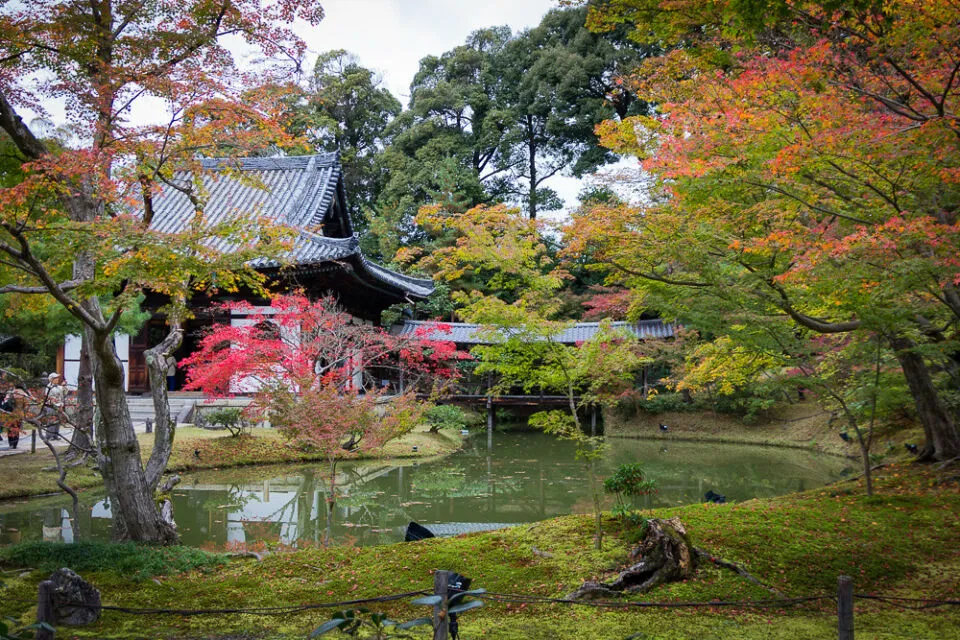 8 Bangunan Ikonik Dunia Bukti Kekuatan Cinta itu Nyata. Ada di Indonesia Juga Loh 12 Kuil Kodai-Ji di Jepang