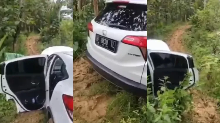 Viral, Mobil Tersesat Masuk Hutan Angker. Warga: Nggak Ada Jejak Roda Mobil! 2 Mobil tersesat di hutan