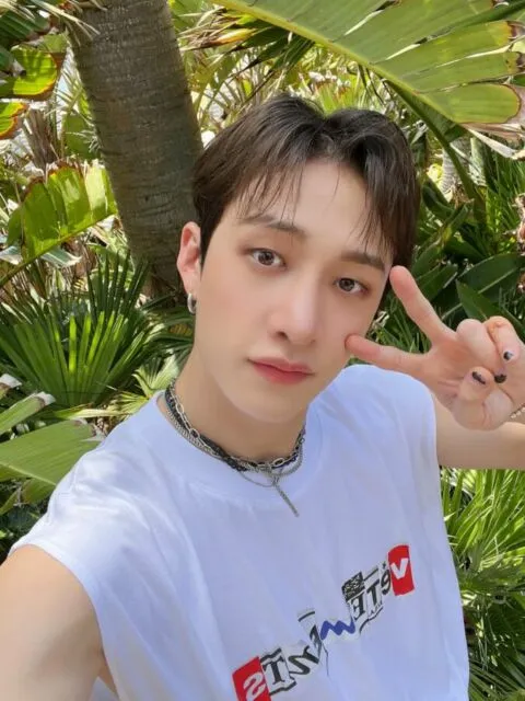 6 Idol K-Pop yang Piawai dalam Menari Balet. Ada anggota BTS, Exo, dan NCT! 12 Bang Chn Stray Kids