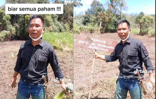 Viral, Kebun Edelweis Rawa di Ranca Upas Rusak Parah Usai Dilintasi Event Trail 2 Video viral mang Uprit