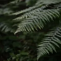 Jangan Abai dengan Kondisi Lingkungan di Sekitar Kita! Kurangi Pencemaran, Kurangi Limbah Demi Bumi Kita yang Cerah
