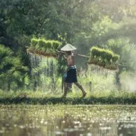Anak Seorang Petani Kok Jadi Mahasiswa Pertanian, Berikut Ini Jawaban yang Harus Diungkap Mahasiswa