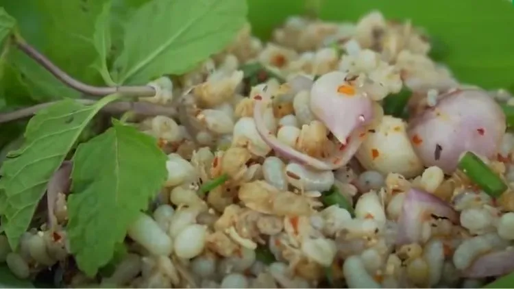 10 Makanan Ekstrim di Thailand yang Populer, Ada Paruh Bebek! 23 hipwee-makanan ekstrim di Thailand - Telur semut mentah
