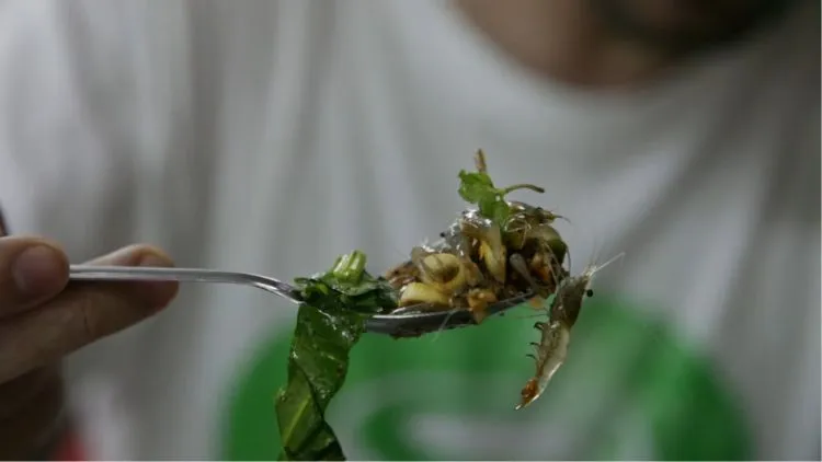 10 Makanan Ekstrim di Thailand yang Populer, Ada Paruh Bebek! 21 hipwee-makanan ekstrim di Thailand - udang menari