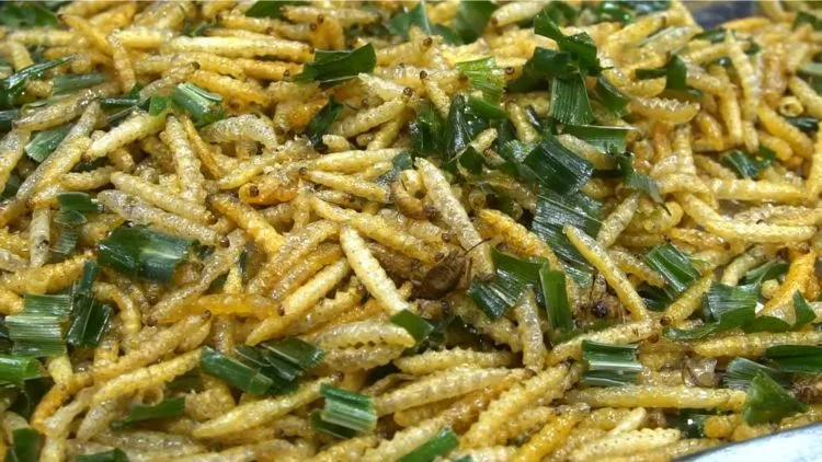 10 Makanan Ekstrim di Thailand yang Populer, Ada Paruh Bebek! 29 hipwee-makanan ektrim Thailand - Ulat bambu Rod Duang