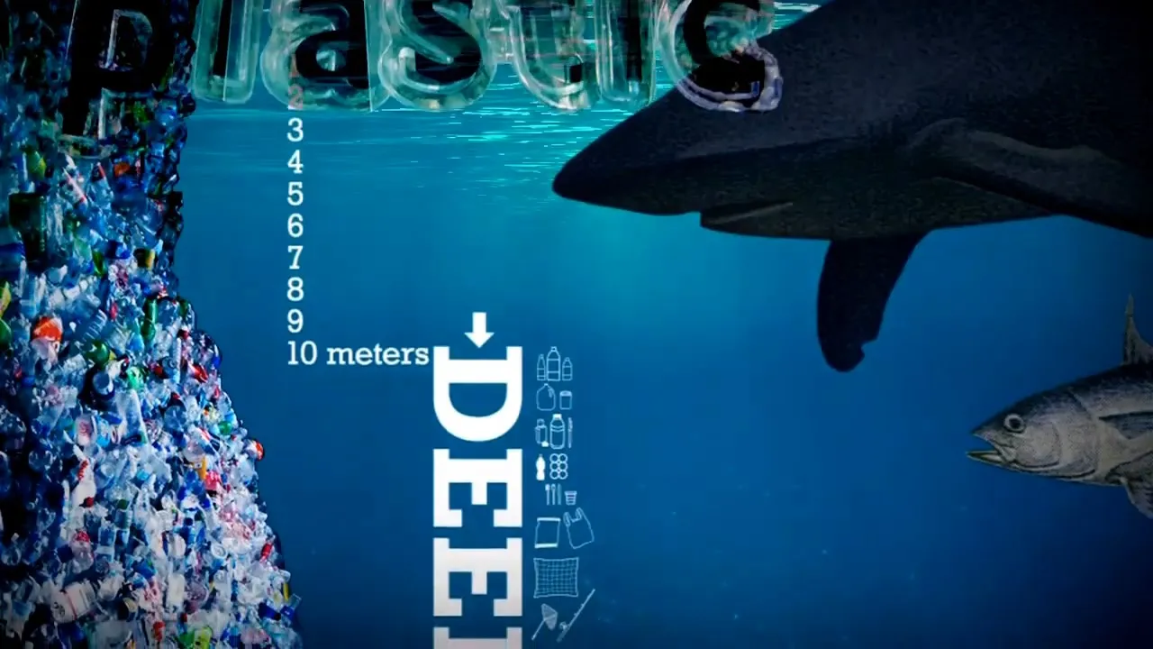 Apa Yang Terjadi Pada Plastik di Lautan? Jadi The Great Pacific Patch 7