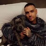 Liam Payne Personel One Direction Meninggal Dunia Usai Jatuh dari Balkon Lantai 3 Hotel