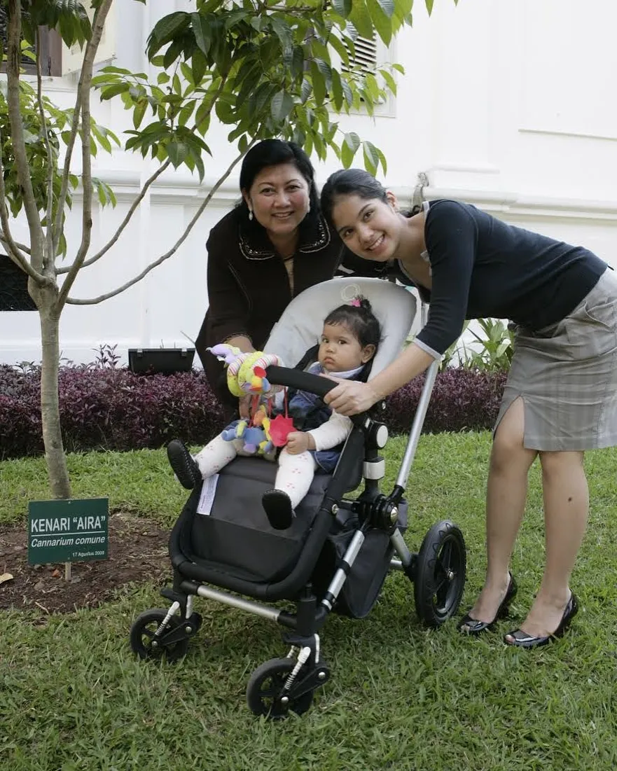 Potret Pohon Kenari “Aira”, Pohon yang Ditanam Ani Yudhoyono di Istana Kepresiden Saat Cucunya Lahir 2