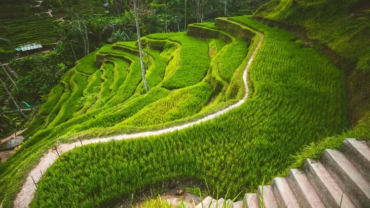 Bingung Pilih Hotel Terjangkau Buat Liburan di Bali? Ini 2 Pilihan Terbaik dari Ascott! 12