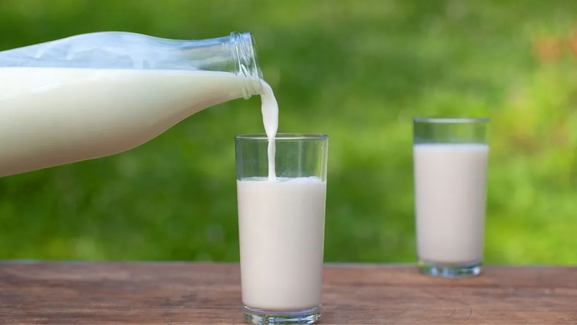 Faktor yang Mempengaruhi Efektivitas Susu Penambah Berat Badan 8 waktu konsumsi susu