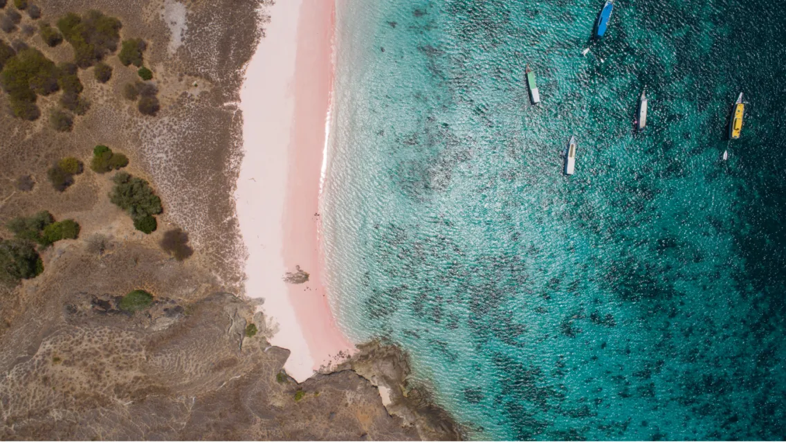 Jangan Bingung, Ini 5 Tempat Indah di Sekitar Labuan Bajo untuk Liburan Akhir Tahun! 8 Pantai pasir pink di Labuan Bajo