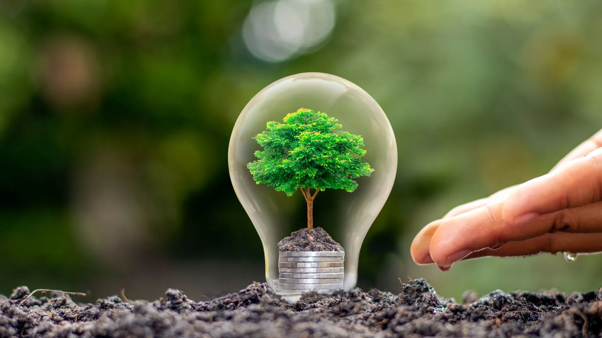 7 Alasan Mengapa Philips LED adalah Pilihan Terbaik untuk Pencahayaan Rumah Anda 17