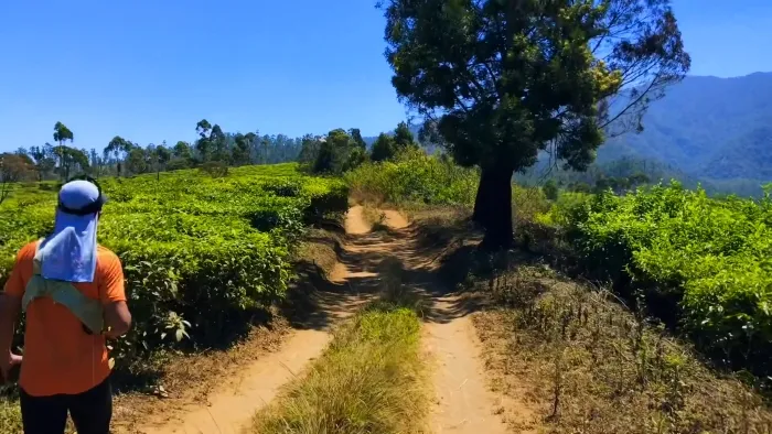 7 Gunung Tertinggi di Jawa Barat, dari Ciremai ke Pangrango 13
