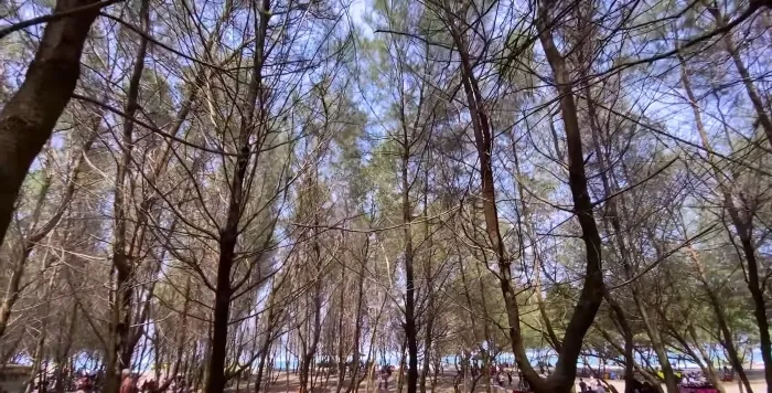 10 Rekomendasi Pantai Pasir Putih di Jogja yang Indah 25