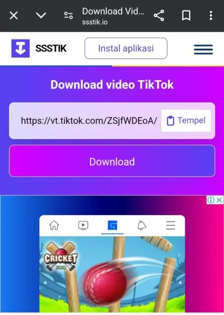 Begini Cara Download Video di TikTok dan Twitter dalam Sekejap, Tanpa Ribet! 8