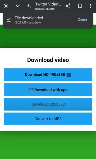 Begini Cara Download Video di TikTok dan Twitter dalam Sekejap, Tanpa Ribet! 12