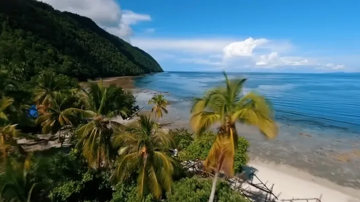 Wisata Raja Ampat yang Memukau Dengan Keindahan Biota Laut yang Kaya 21