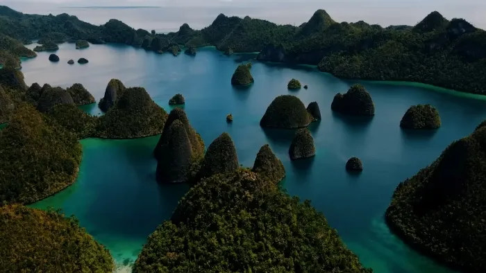 Wisata Raja Ampat yang Memukau Dengan Keindahan Biota Laut yang Kaya 13