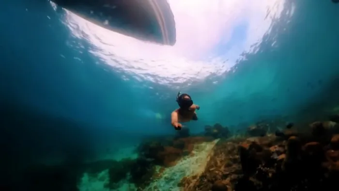 Wisata Raja Ampat yang Memukau Dengan Keindahan Biota Laut yang Kaya 17