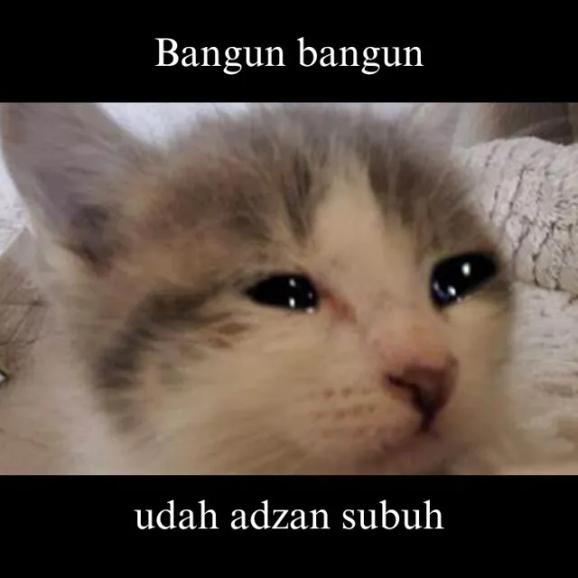Meme Sahur Lucu dari yang Legend sampai yang Fresh, Kamu Juga Gini Enggak? 23