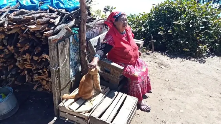 Kabar Duka dari Gunung Lawu, Penjual Warung Pecel Legendaris Mbok Yem Meninggal Dunia 9