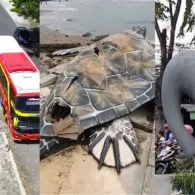 Tugu Biawak Wonosobo Viral! Ini Daftar Tugu Unik di Indonesia yang Terkenal
