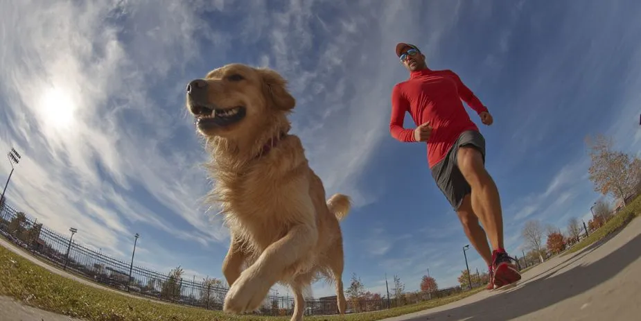 The Right Pet for Your Pace: How to Choose the Best Animal for Your Lifestyle 5