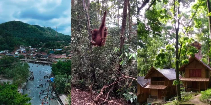 5 Aktivitas Keren yang Bisa Kamu Lakukan di Kabupaten Langkat 10 bukit lawang