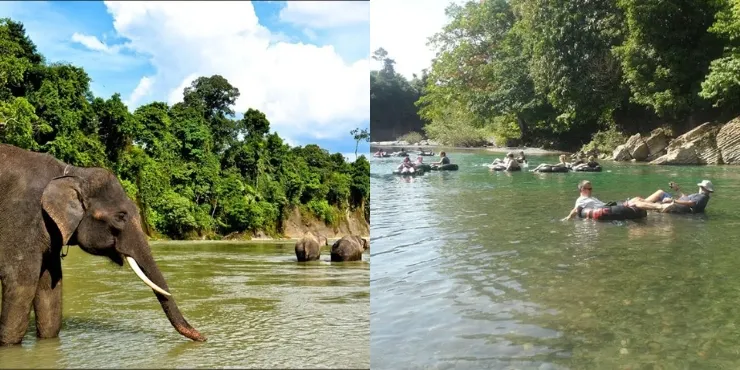 5 Aktivitas Keren yang Bisa Kamu Lakukan di Kabupaten Langkat 6 tangkahan