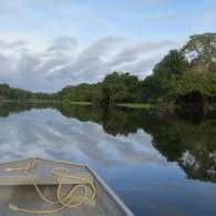 7 Fakta Menarik Hutan Amazon yang Jarang Diketahui Netizen!