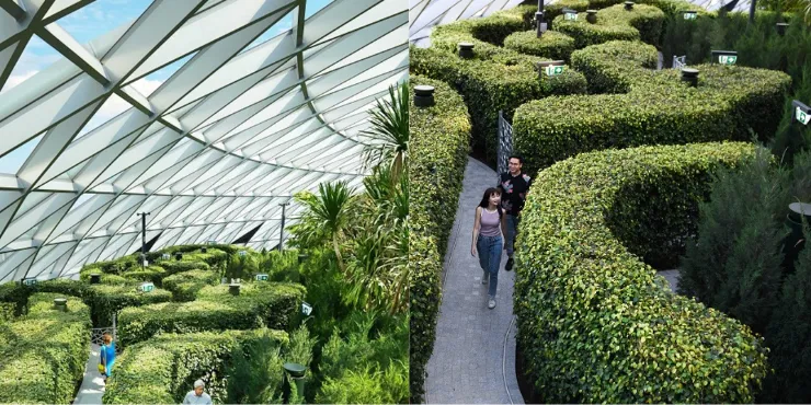 6 Tempat Menarik di Jewel Changi Singapore yang Wajib Kamu Kunjungi 9 Hedge Maze changi singapore