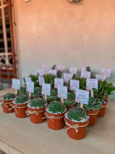 7 Mitos Souvenir Pernikahan Baik Larangan Maupun Anjuran yang Masih Dipercaya Banyak Pasangan. 11 mitos souvenir pernikahan-tanaman
