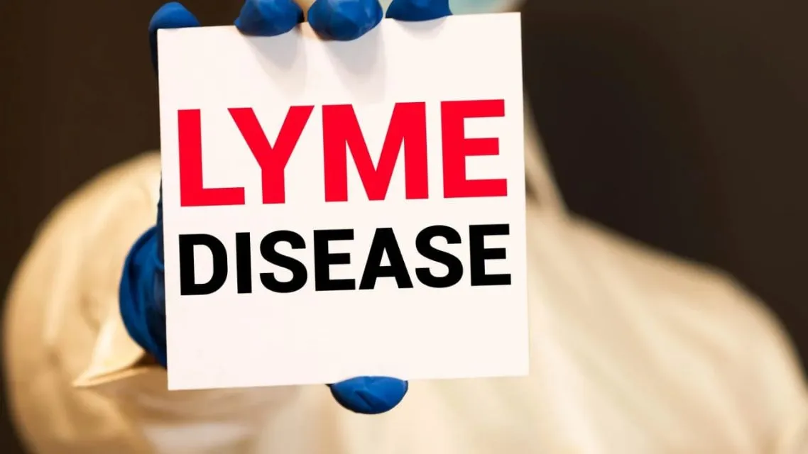 5 Fakta Mengejutkan Seputar Lyme Disease Bella Hadid yang Wajib Diketahui Sebagai Bentuk Awareness 16 kesadaran akan penyakit lyme disease